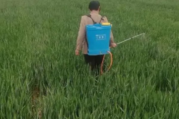 戊唑醇打小麦一亩地的用量，单剂用量要控制在每亩6-8克