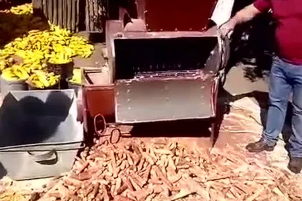 脱粒机的使用要求，喂入作物不准超量喂入