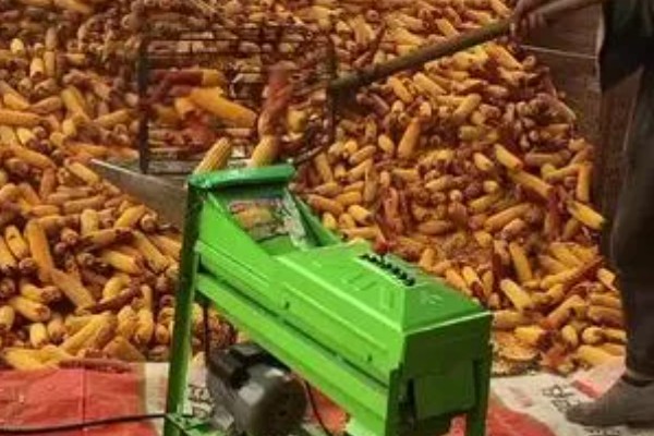 脱粒机的使用要求，喂入作物不准超量喂入
