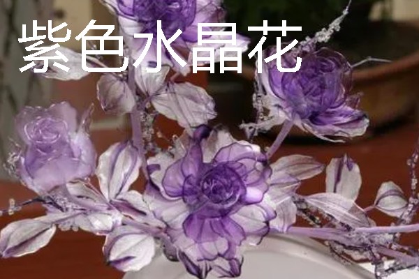 水晶花有什么花语，不同颜色代表的含义有区别