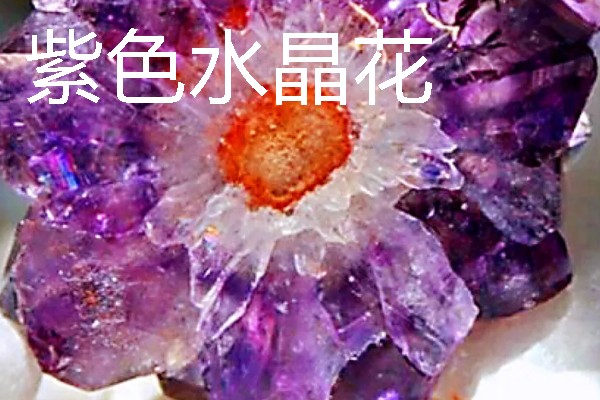 水晶花有什么花语，不同颜色代表的含义有区别