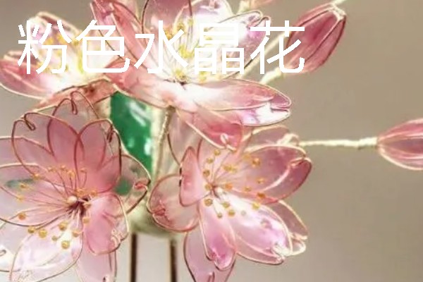 水晶花有什么花语，不同颜色代表的含义有区别