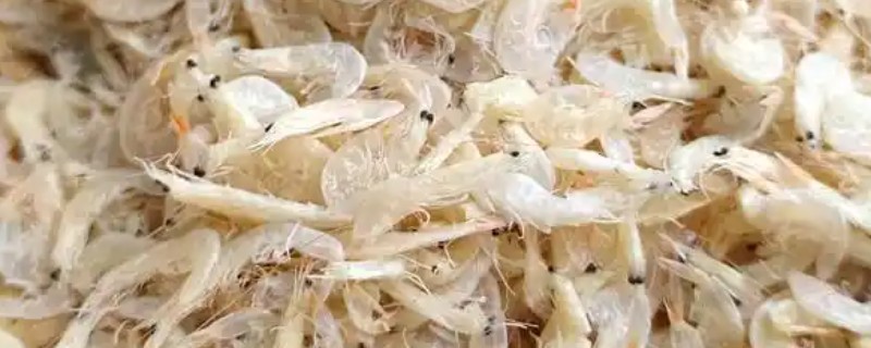 辽宁瓦房店市的特产，有黄元帅苹果、虾皮等