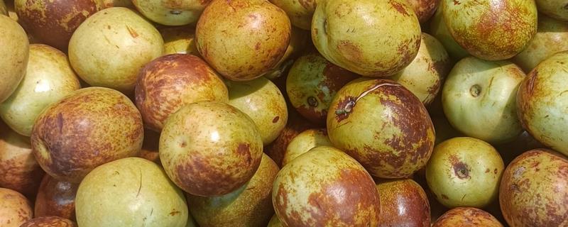 怎么储存冬枣,放在阴凉处保存即可