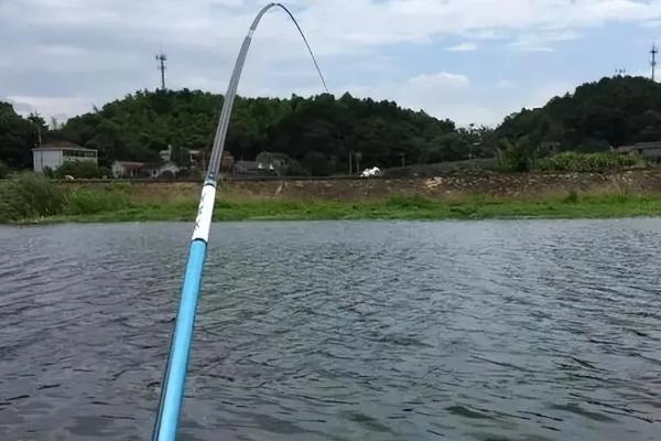 夏季钓草鱼的技巧，一定要提前打窝