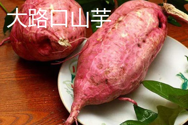 安徽省宿州市泗县的特产，有金丝绞瓜、大路口山芋等