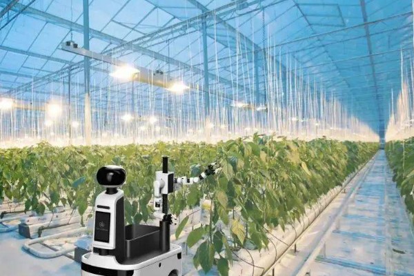 农业科技创新有什么作用，可降低农业的自然风险、社会风险和市场风险