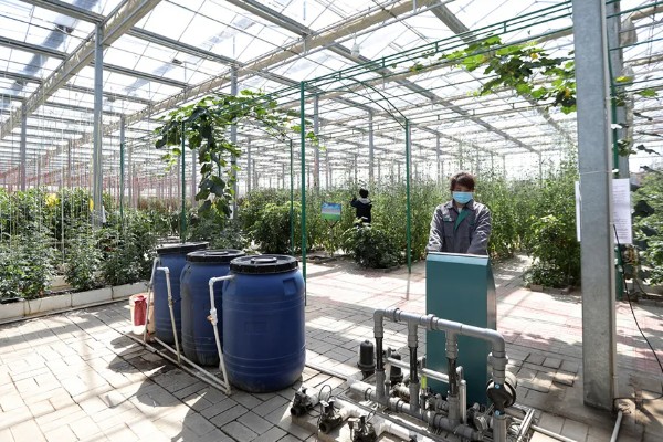 农业科技创新有什么作用，可降低农业的自然风险、社会风险和市场风险
