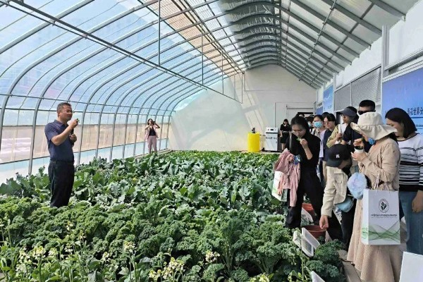 农业科技创新有什么作用，可降低农业的自然风险、社会风险和市场风险