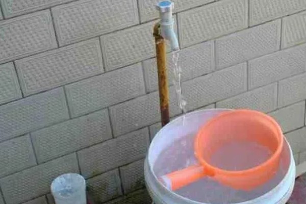 腊梅适合深水养还是浅水养，腊梅要用深水养