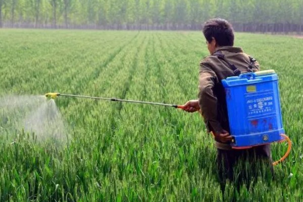 丁硫克百威的作用，可有效防治柑桔锈壁虱、蚜虫等