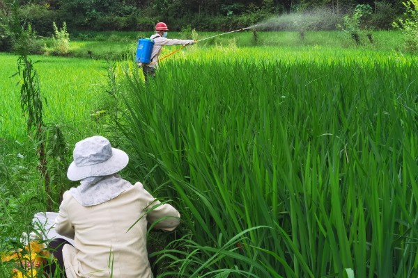 丁硫克百威的作用，可有效防治柑桔锈壁虱、蚜虫等