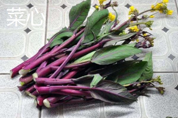 青菜的种类，常见的有菜心、青梗菜等