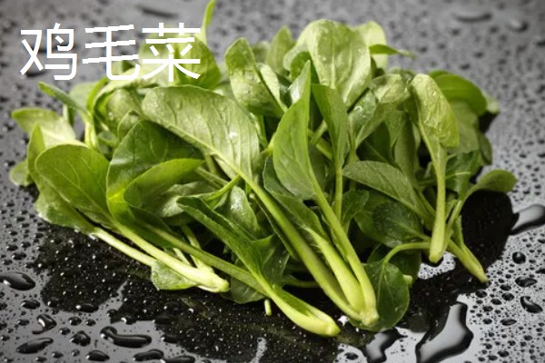 青菜的种类，常见的有菜心、青梗菜等