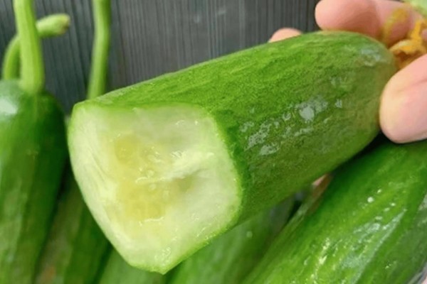 为什么黄瓜落花落果，温度过高或过低均会导致