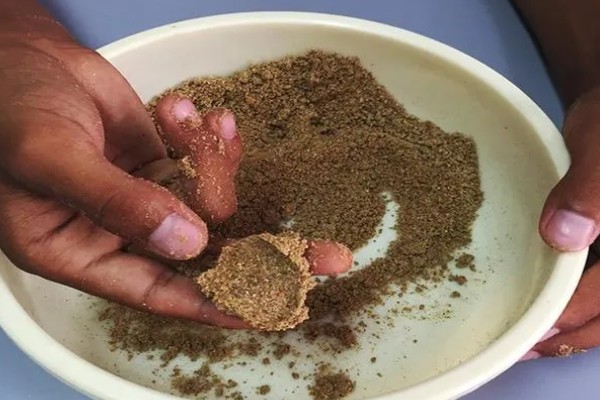 黄骨鱼吃哪些饲料，蛋白质含量要达到35-45%左右
