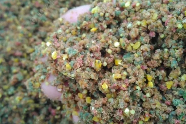 黄骨鱼吃哪些饲料，蛋白质含量要达到35-45%左右