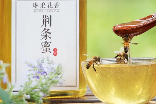 如何鉴别真假荆条蜜，真品一般呈浅琥珀色或琥珀色
