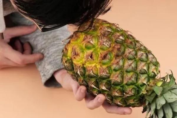 怎么看菠萝熟没熟，可以从表皮颜色、软硬度来分辨