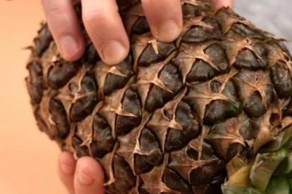 怎么看菠萝熟没熟，可以从表皮颜色、软硬度来分辨