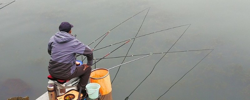 野钓为啥上午口好下午没口，主要是温度、温差、气压原因造成