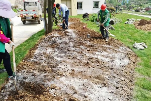 露地西瓜如何种植，幼苗的栽种深度为3厘米左右