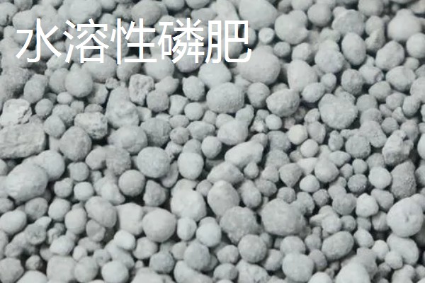 磷肥对植物生长的重要吗，是植物生长发育必须的大量元素