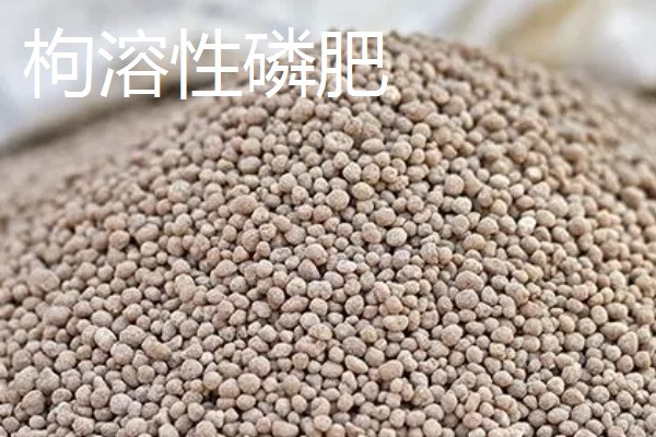 磷肥对植物生长的重要吗，是植物生长发育必须的大量元素