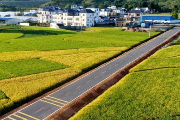 城市生活压力大回农村发展行不行，前景广阔但要考虑收入保障等问题