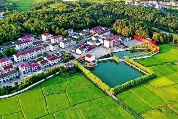 城市生活压力大回农村发展行不行，前景广阔但要考虑收入保障等问题