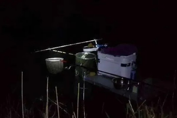 温差大夜钓有没有口，过大的温差会降低鱼类的开口几率