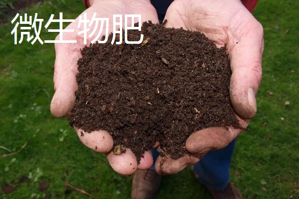 生物肥与微生物肥的区别，概念和特点均不同