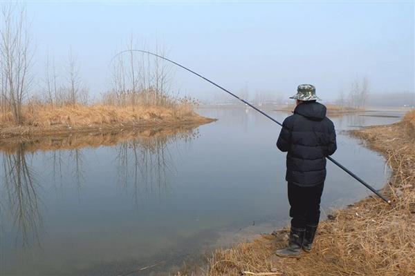 野钓为啥上午口好下午没口，主要是温度、温差、气压原因造成