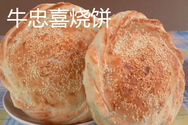 河南卫辉市的特产，有卫红花、牛忠喜烧饼等