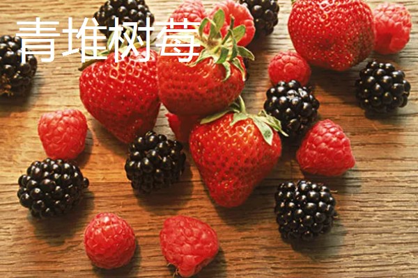 河南卫辉市的特产，有卫红花、牛忠喜烧饼等