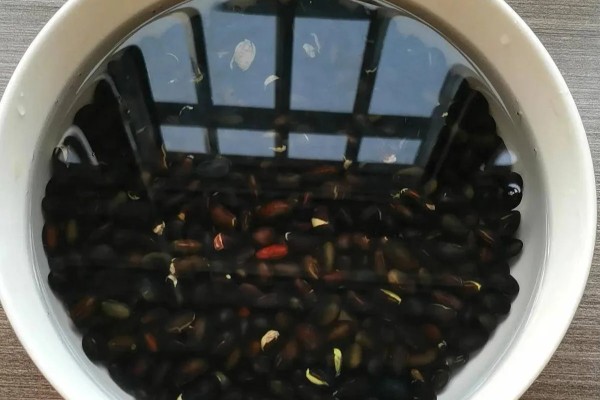 西瓜的常见病害，有枯萎病、炭疽病等