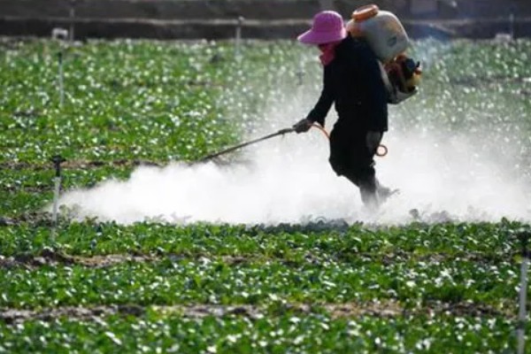 西瓜的常见病害，有枯萎病、炭疽病等