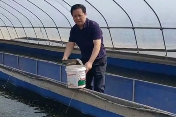 蚂蝗的饲料是什么，可投喂动物内脏、杂鱼、熟蛋黄等食物