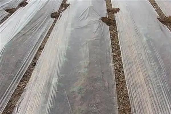 农资产品的分类，包括农业运输机械、化肥等