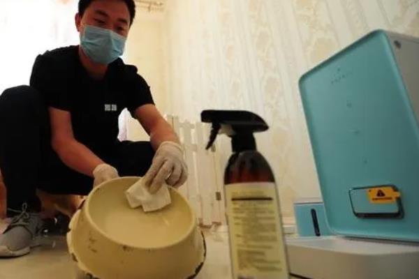 猫瘟房间怎么消毒，可使用有效得消毒剂