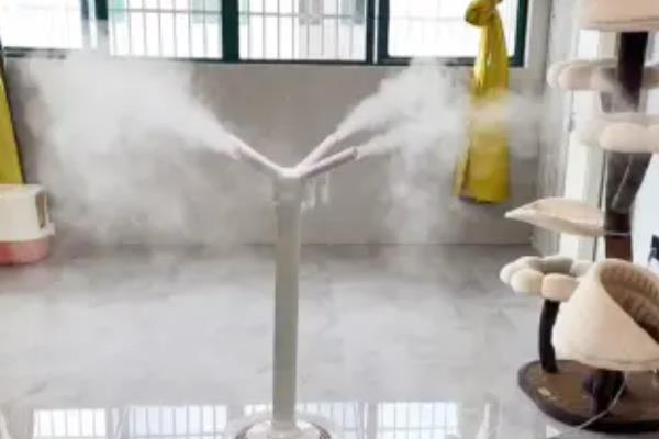 猫瘟房间怎么消毒，可使用有效得消毒剂