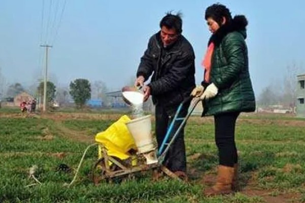 小麦的需肥特点，氮、磷、钾肥的需求量较大