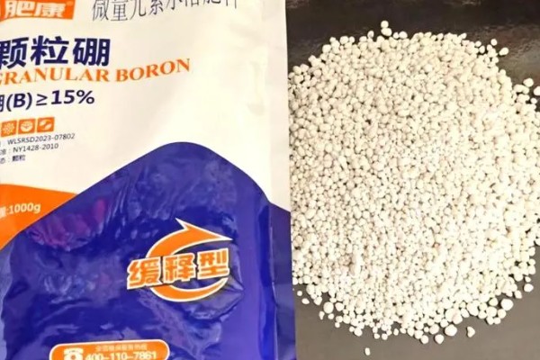 硼肥的施加时间，作为追肥时在开花前喷施为佳