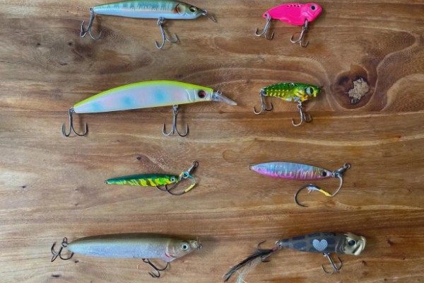 军鱼的垂钓时间，春秋季节是最佳时期