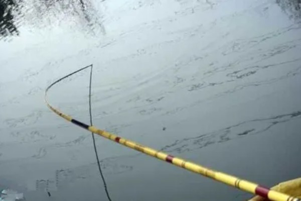 军鱼的垂钓时间，春秋季节是最佳时期