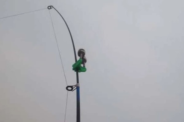 军鱼的垂钓时间，春秋季节是最佳时期