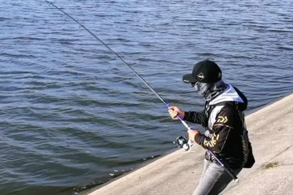 军鱼的垂钓时间，春秋季节是最佳时期