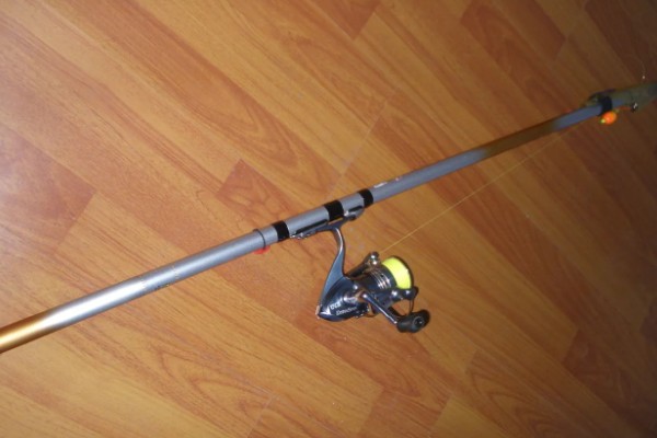 军鱼的垂钓时间，春秋季节是最佳时期