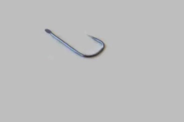 军鱼的垂钓时间，春秋季节是最佳时期