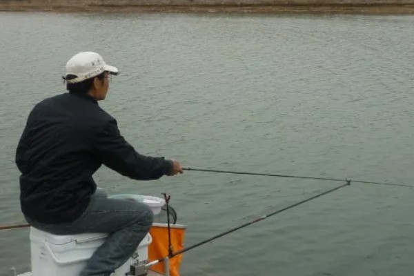 军鱼的垂钓时间，春秋季节是最佳时期